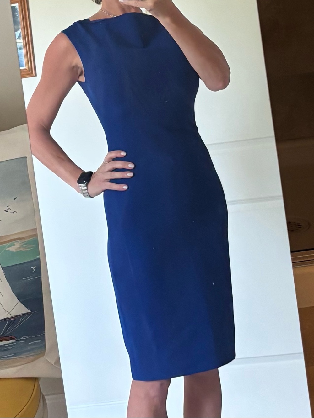 Zara Sleeveless Navy Sheath Dress - Classic Structured Dress